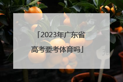 「2023年广东省高考要考体育吗」2023年广东省高考条件