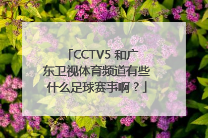 CCTV5 和广东卫视体育频道有些什么足球赛事啊？